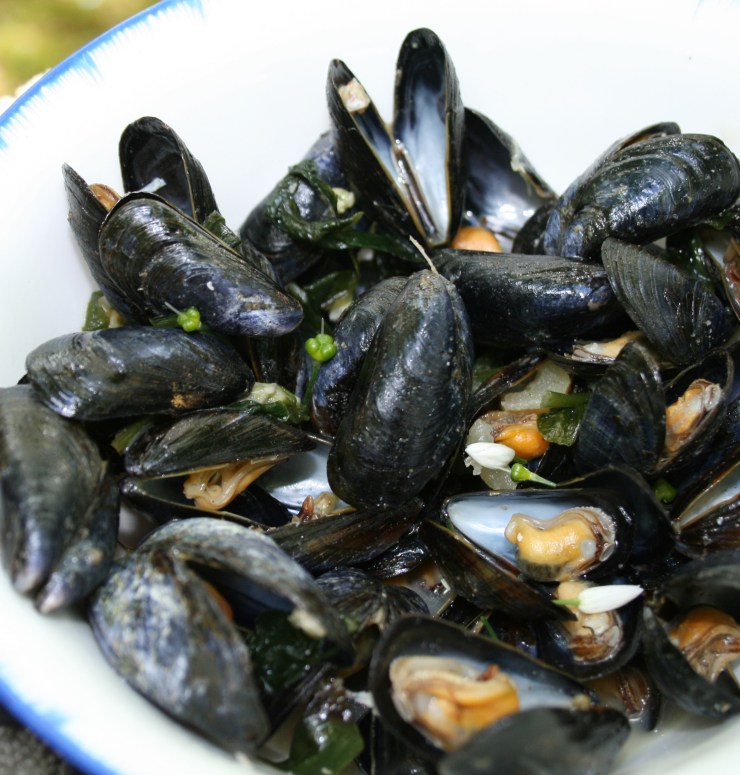 mussels
